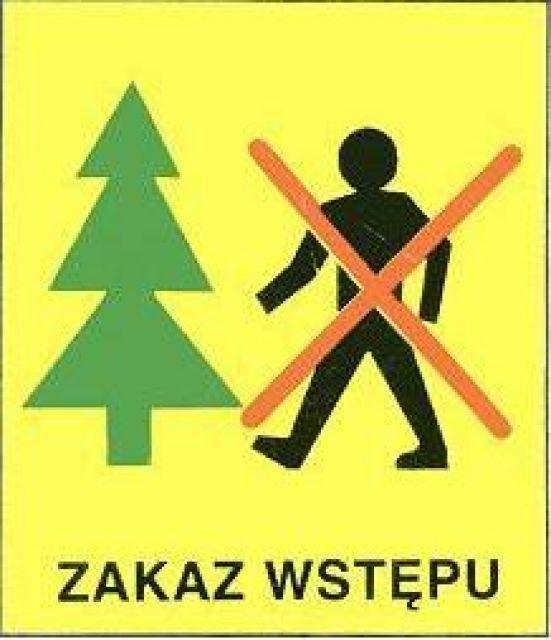 Zakaz wstępu do lasu.