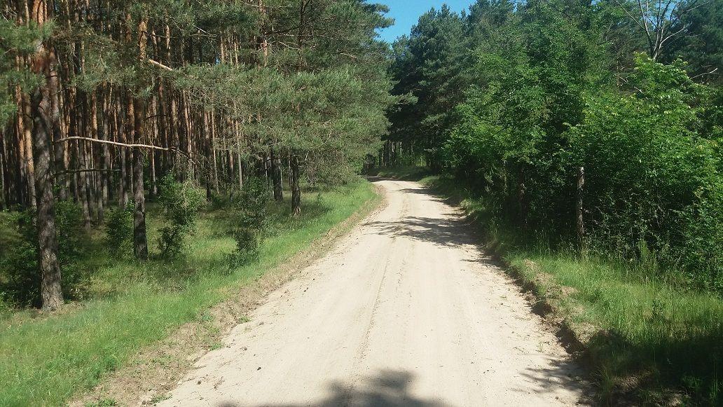 Zabezpieczenie pożarowe lasów - ćwiczenia