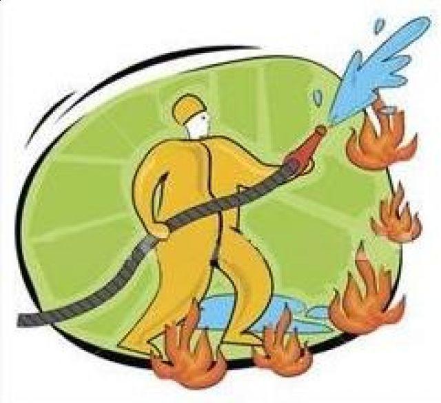 Powiatowe Obchody Dnia Strażaka