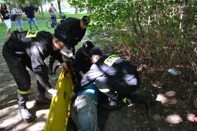 zrodło: www.maxlife-fundacja.pl